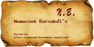 Nemecsek Barnabás névjegykártya